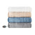 True North By Sleep Philosophy Twin Reverses To Berber Heated Blanket TN54-0196