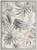 Nourison Seaside 5'3" x 7'3" Area Rug With Ivory And Grey Finish 099446874498