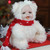 6.5" White and Red Baby in Polar Bear Christmas Doll