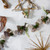5' Frosted Pine Cone and White Rose Artificial Christmas Garland - Unlit