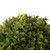 18" Green and Brown Artificial Tree Boxwood Topiary in Planter - 34260271