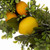 Greenery Lemon Artificial Christmas Wreath with Basket - 22-Inch, Unlit