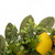 Greenery Lemon Artificial Christmas Wreath - 22-Inch, Unlit