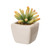 5pc Brown and Green Artificial Succulent Plants with Individual Pots in Plant Box 13" - 34260239