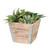 7.5" Brown and Green Desktop Succulent Planter in Box - 34260238