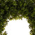Boxwood Artificial Christmas Wreath with Basket - 18-Inch, Unlit
