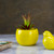 5.25” Yellow Glossy Ceramic Flower Pot