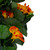 30" Orange Nasturtium Artificial Flower Spray