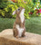6.75" Brown and White Standing Bunny Outdoor Statue