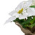 10" White Poinsettia Artificial Christmas Floral Arrangement