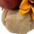 9" Mixed Autumn Harvest Flora in a Pumpkin Basket Decoration