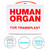 AQUARIUS Human Organ Fun Box