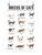 Breeds Of Cats Poster -SmartPrintsInk Designs