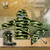 Mucky Wear Children's Rain Coat Army Camo