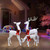 3-Piece Light Deer Family Christmas Sleigh Outdoor Yard Decoration 52.25"