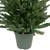 Real Touch™ Pre-Lit Grande Spruce Artificial Potted Christmas Tree - 4' - Clear Lights