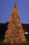Commercial Pre-Lit Olympia Pine Artificial Tower Christmas Tree - 24' -  Warm White LED Lights