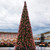 Giant Pre-Lit Everest Fir Commercial Christmas Tower Tree - 24'  - Warm White C7 LED Lights