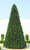 Pre-Lit Giant Everest Fir Commercial Christmas Tower Tree - 24' - Multicolor C7 LED Lights