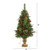 4’ Pre-Lit Pine and Pinecones Artificial Christmas Tree with Urn, Clear LED Lights