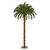 4’ Pre-Lit Artificial Christmas Palm Tree, Clear LED Lights