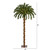 4’ Pre-Lit Artificial Christmas Palm Tree, Clear LED Lights