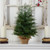 2’ Pre-Lit Potted Mini Artificial Christmas Tree, Warm White LED Lights