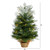2’ Pre-Lit Potted Mini Artificial Christmas Tree, Warm White LED Lights