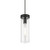 Livex Lighting 1 Light Steel Mini Pendant With Black Finish 41236-04