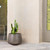Armen Living Amethyst Medium Round Concrete Planter With Grey Finish LCAWSMPLGR