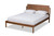 Baxton Studio Modern Queen Bed In Walnut Brown Finish MG-0049-Ash Walnut-Queen