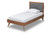 Baxton Studio Laima Dark Grey Fabric And Walnut Brown Wood Twin Platform Bed