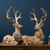 Set of 2 LED Lighted Deer Christmas Tabletop Figurines 21.75"