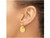 14K Yellow Gold Brushed Circles Dangle Earrings