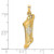 FJC Finejewelers 14 kt Two Tone Gold Polished and Textured Hollow Mezuzah Charm 31 x 7 mm GQXR2025C