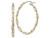 FJC Finejewelers 14 kt Two Tone Gold and Rhodium Twisted Hoop Earrings PRE782C