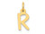 FJC Finejewelers 10 kt Yellow Gold Small Slanted Block Initial R Charm 15 x 6 mm GQ10YC644RW