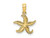 FJC Finejewelers 10 kt Yellow Gold Flat Starfish Charm 11 x 12 mm GQ10K7372W