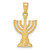 FJC Finejewelers 10 kt Yellow Gold Menorah Charm 26 x 14 mm GQ10C4451W
