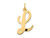 FJC Finejewelers 14 kt Yellow Gold Large Script Letter L Initial Charm GQYC662LA
