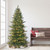 6.5' Pre-lit Slim Royal Majestic Douglas Fir Downswept Artificial Christmas Tree, Clear Lights