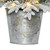 3' Pre-lit Flocked Potted Pine Medium Artificial Christmas Tree, Warm White Lights