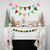 Pom Pom Christmas Garland - 4' x 2" - Green and Red - Unlit