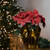 Artificial Christmas Poinsettia with Wrapped Base - 14.5" - Pink