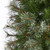 6.5' Slim Cashmere Artificial Christmas Tree, Unlit