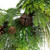 Real Touch™? Pinecones and Jingle Bells Artificial Christmas Wreath - 26" - Unlit