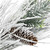 Flocked Long Needle Pine and Pinecone Artificial Christmas Garland - 6’ x 8” - Unlit
