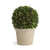 12" Green and Gray Contemporary Artificial Ball Topiary in Pot