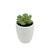 4.25" Potted Artificial Green Echeveria Succulent Plant - 32037249