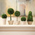 Set of 5 Green and Ivory Contemporary Artificial Double Ball Topiaries in Pots 11.25"